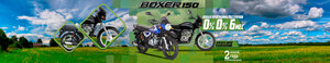 boxer 150
